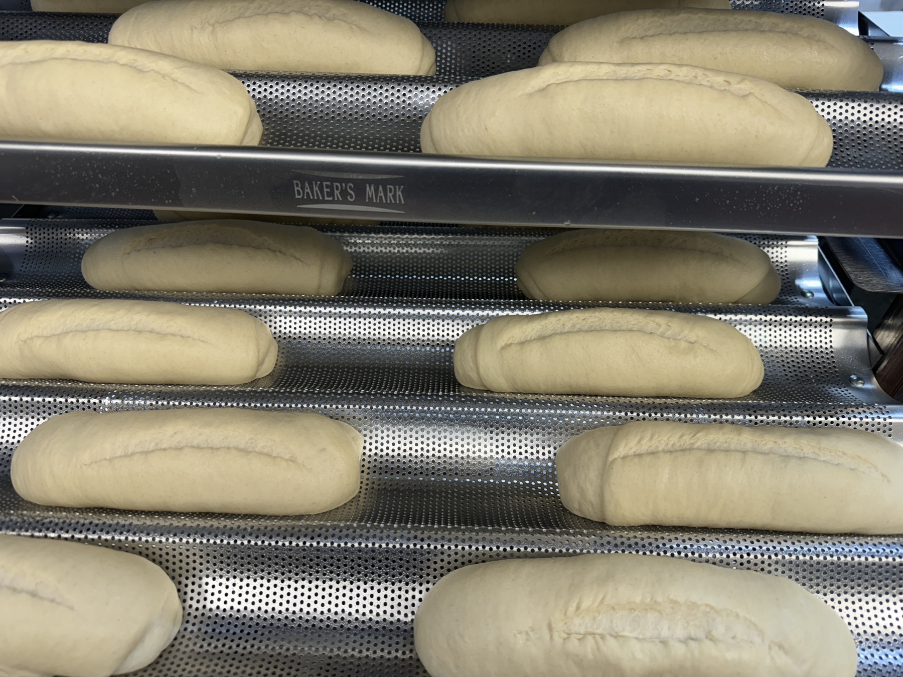 Raw baguette dough proofing in rows on perforated steel trays