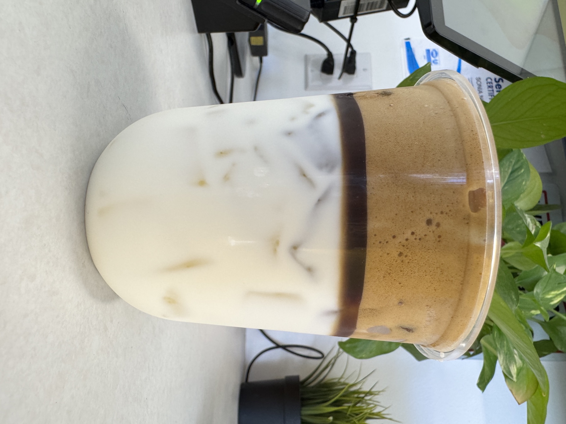 Layered Vietnamese iced coffee with salted cream at the counter